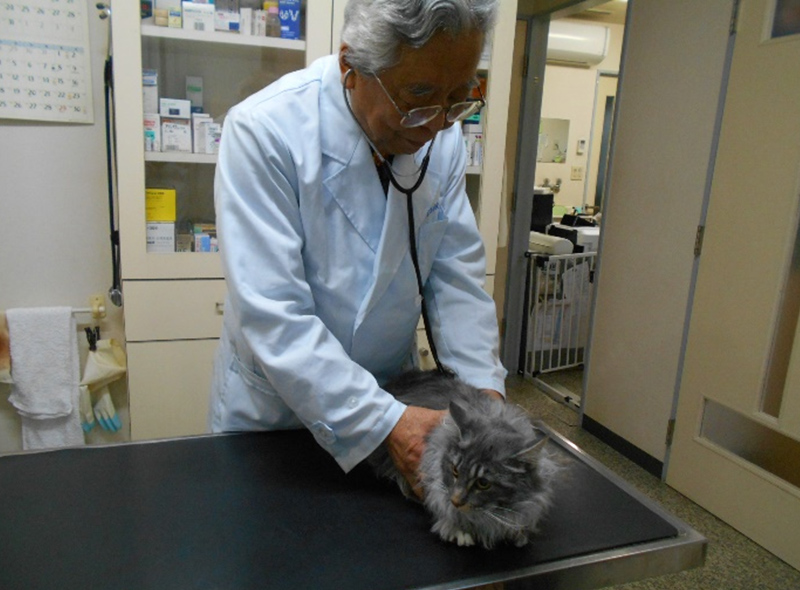 せじま動物病院