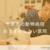 【2026年】市原市の動物病院 おすすめしたい6医院