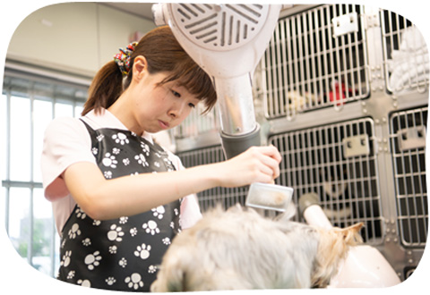 市原・山口動物病院