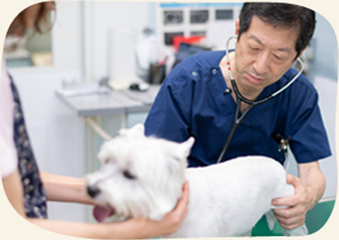 市原・山口動物病院
