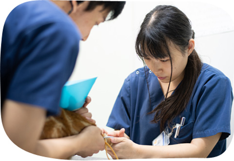 市原・山口動物病院