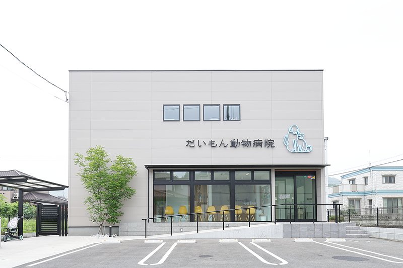 だいもん動物病院