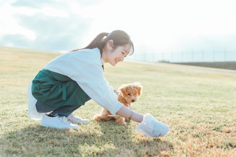 散歩中の犬と飼い主
