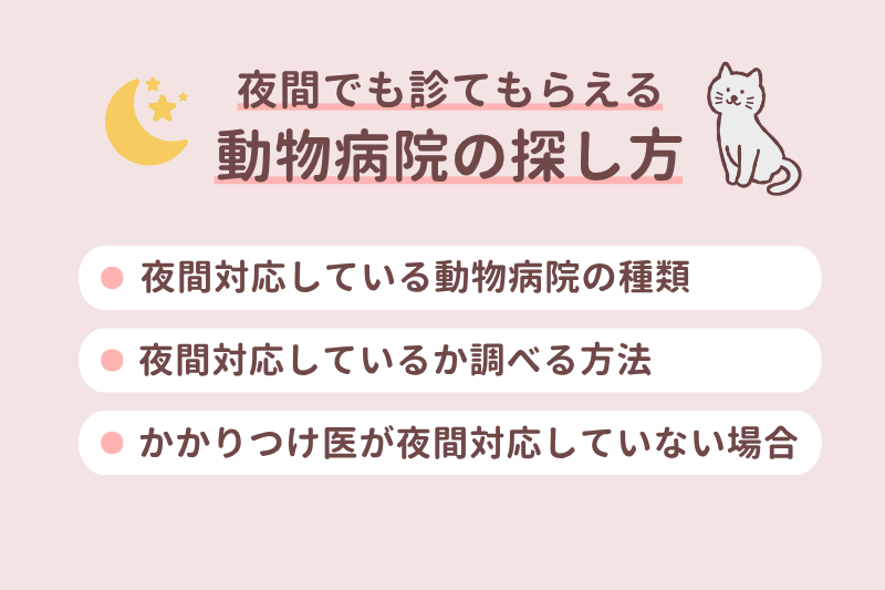 夜間でも診てもらえる動物病院の探し方