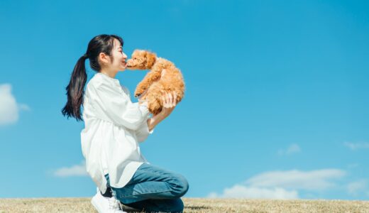 愛犬の出産に向けて飼い主ができること｜交配～出産の流れや動物病院の選び方、出産前の準備を解説