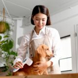 犬のトリミング料金の相場は？頻度やサロンの選び方も解説