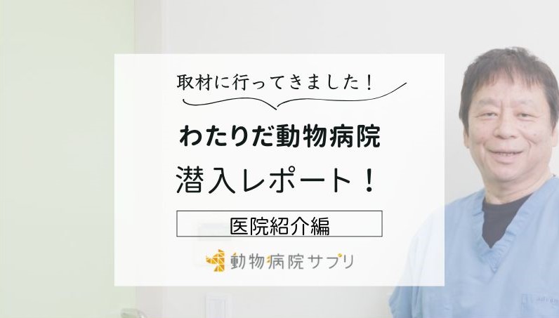 わたりだ動物病院photo