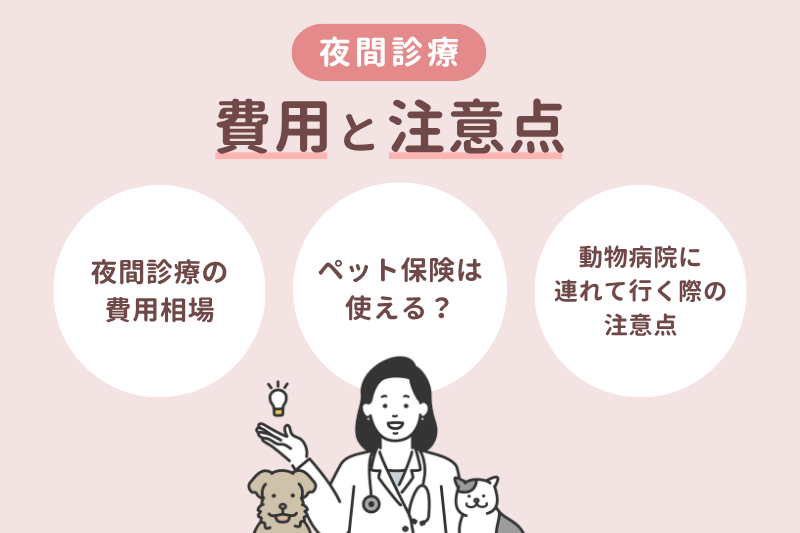 夜間診療の費用と注意点