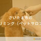 さいたま市のトリミング（ペットサロン）