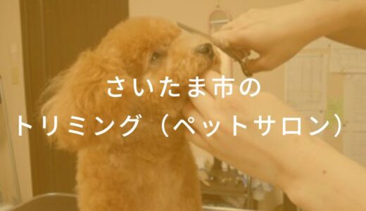 【2025年】さいたま市のトリミング（ペットサロン） おすすめしたい6サロン
