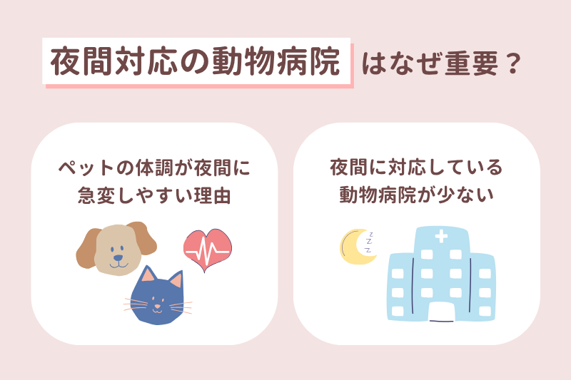 夜間対応の動物病院はなぜ重要?