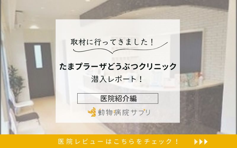 たまプラーザどうぶつクリニック