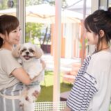 ペットホテルに10歳以上の犬・猫を預けることはできる？条件や注意点を解説