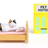 ペットホテルに1ヶ月以上預けることはできる？預け先の選び方、事前の準備や注意点を解説