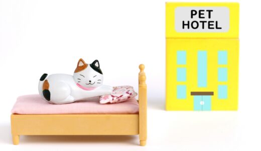 ペットホテルに1ヶ月以上預けることはできる？預け先の選び方、事前の準備や注意点を解説
