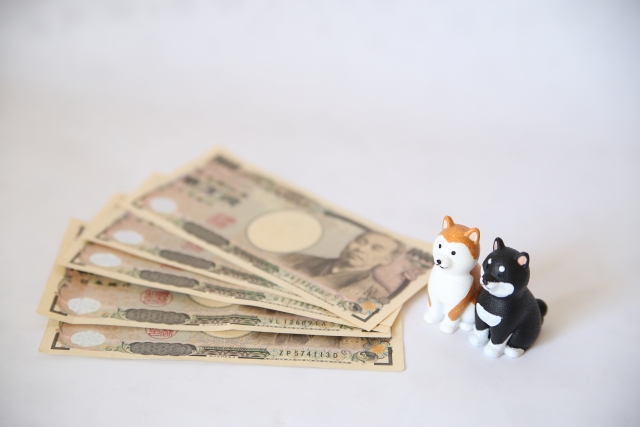 早朝から預けられるペットホテルの費用相場