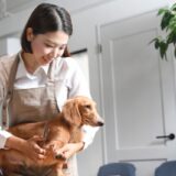 トリミングサロンは見学できる？事前の見学や付き添いの可否、注意点を解説