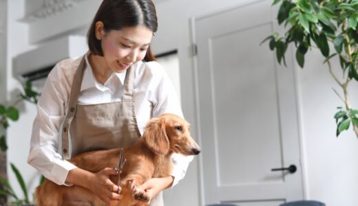 トリミングサロンは見学できる？事前の見学や付き添いの可否、注意点を解説
