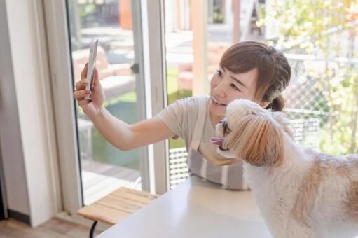 【年齢別】犬しつけ教室の特徴と内容