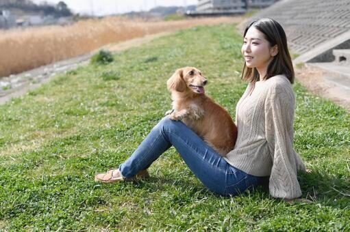 犬のしつけ教室は何歳まで通える?