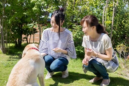 愛犬にしつけが必要な理由