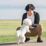 犬のしつけ教室には何歳まで通える？しつけに適した時期や年齢別のしつけ教室の特徴とは