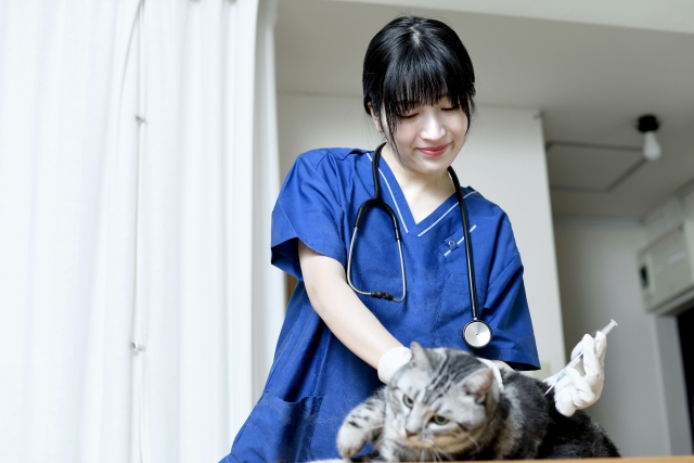 猫のトイレが多いときに考えられる病気