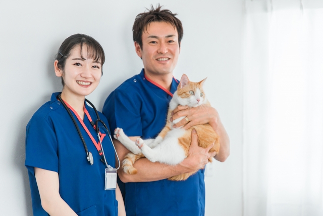 猫の睡眠時間が長くなりやすい病気