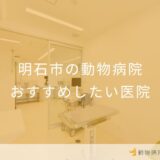 【2025年】明石市の動物病院 おすすめしたい5医院