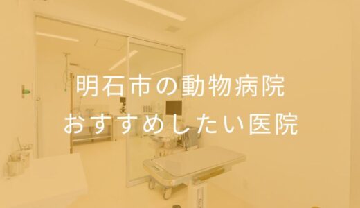 【2025年】明石市の動物病院 おすすめしたい5医院