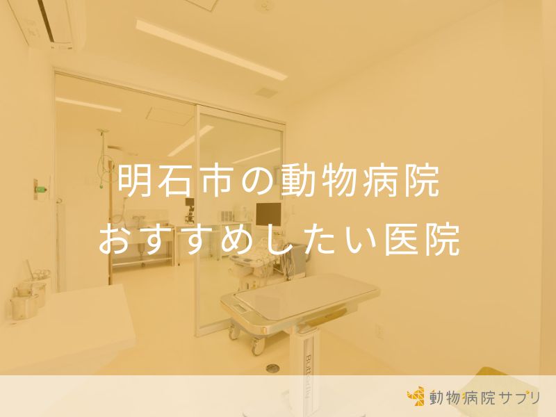 明石市の動物病院 おすすめしたい医院