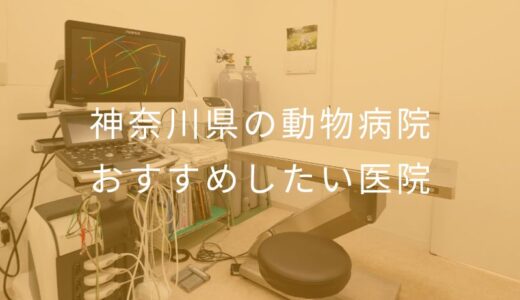【2025年】神奈川県の動物病院 おすすめしたい6医院