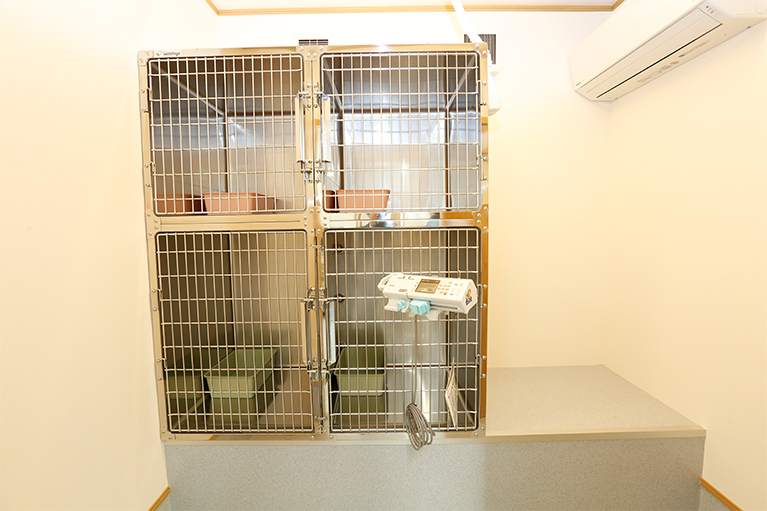 Talk動物病院photo