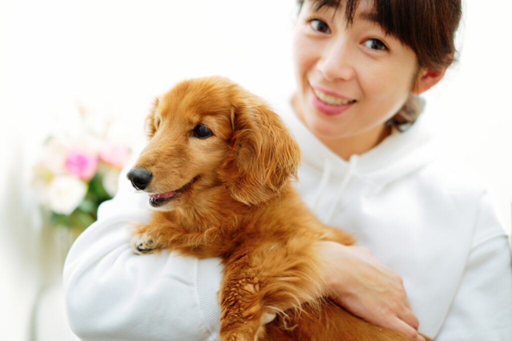 編集部まとめ