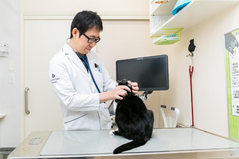 ちょう動物病院photo