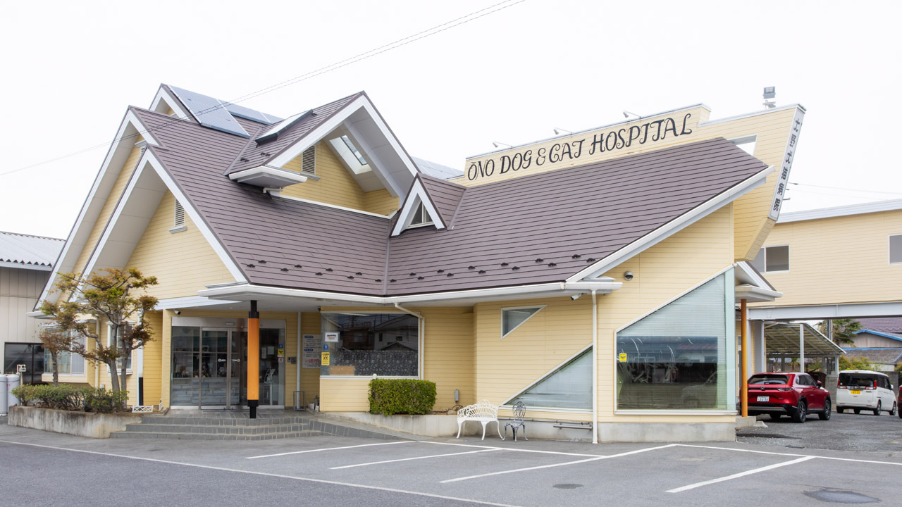 大野犬猫病院