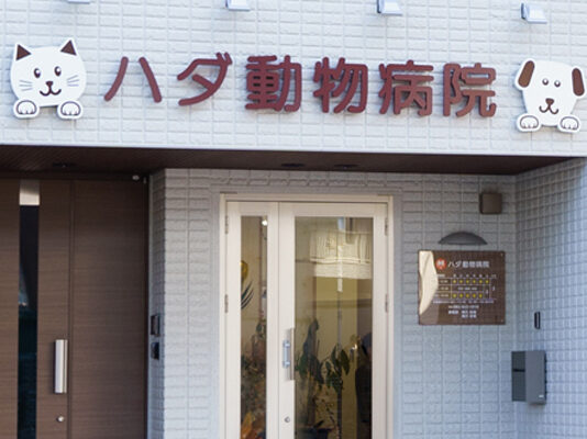 ハダ動物病院