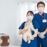 初めての動物病院｜飼い主として知っておきたいマナーを解説