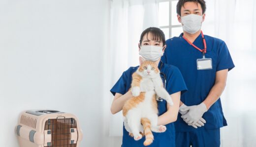 初めての動物病院｜飼い主として知っておきたいマナーを解説