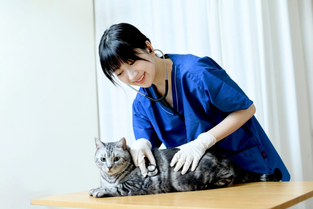 乳腺腫瘍の治療方法