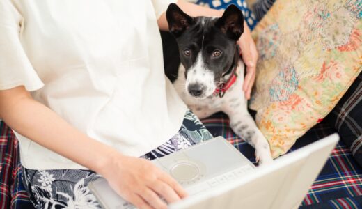 犬のしつけ教室はオンラインでできる？自宅で受けるメリットや利用時のポイントも解説