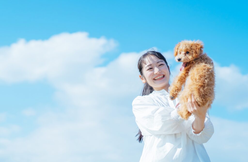 青空と犬