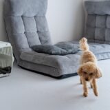 動物病院で困らないために｜クレートの選び方や慣れ方、連れて行く際の注意点を解説