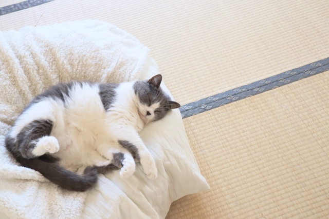 耳の痒みの応急処置や治療法