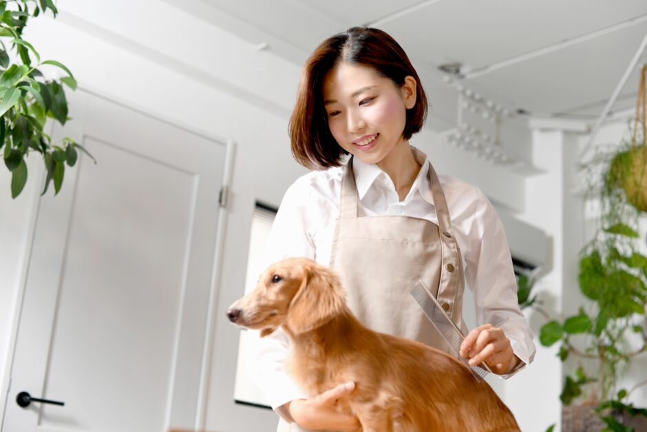 犬のトリミングは生後何ヶ月からがおすすめ？メリットやサロンの選び方、注意点を解説