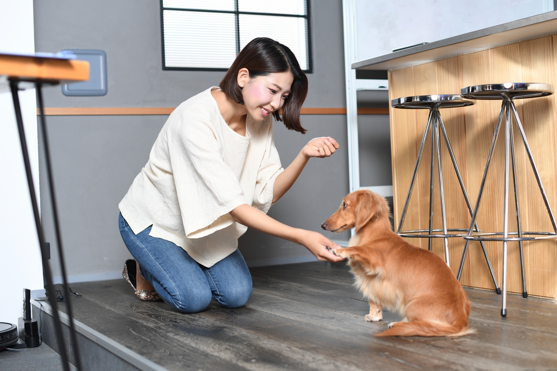 犬に「おて」を教える女性