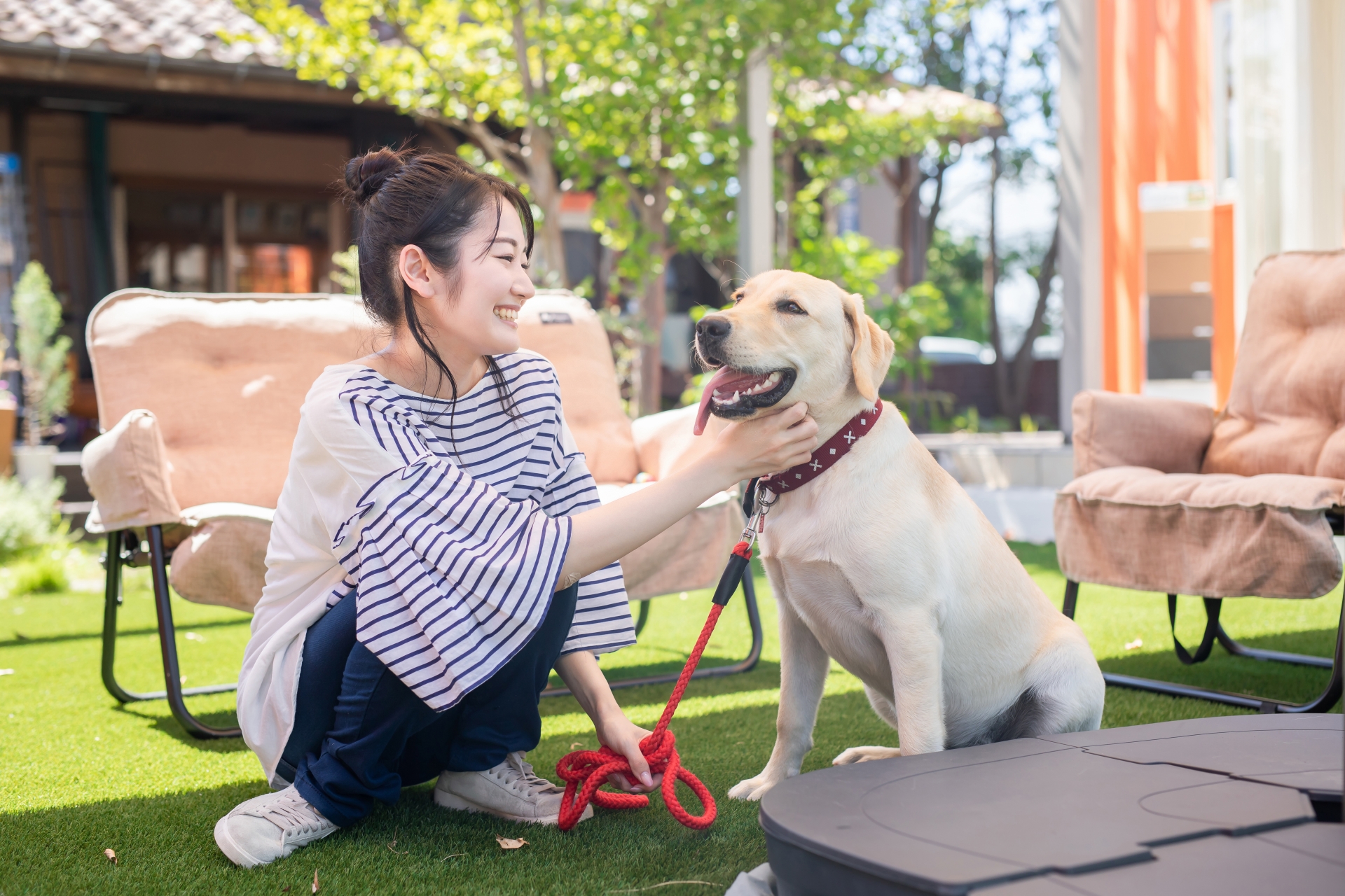 犬と女性