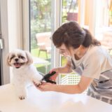 犬の爪切りだけで動物病院に行ってもよい？メリットやデメリット、料金相場などを解説