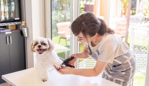 犬の爪切りだけで動物病院に行ってもよい？メリットやデメリット、料金相場などを解説