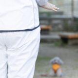 犬の訓練競技会とは？出場する際のしつけ教室の選び方やトレーニング内容などを解説